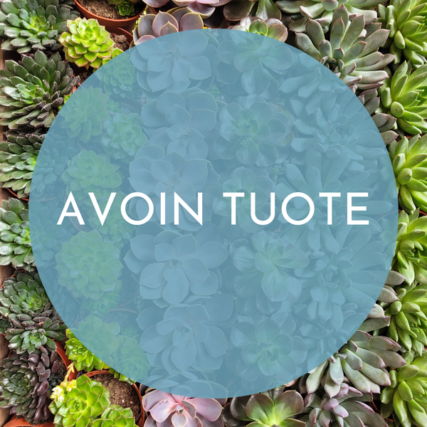 *AVOIN TUOTE*